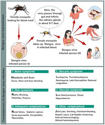 Prevent dengue cheap